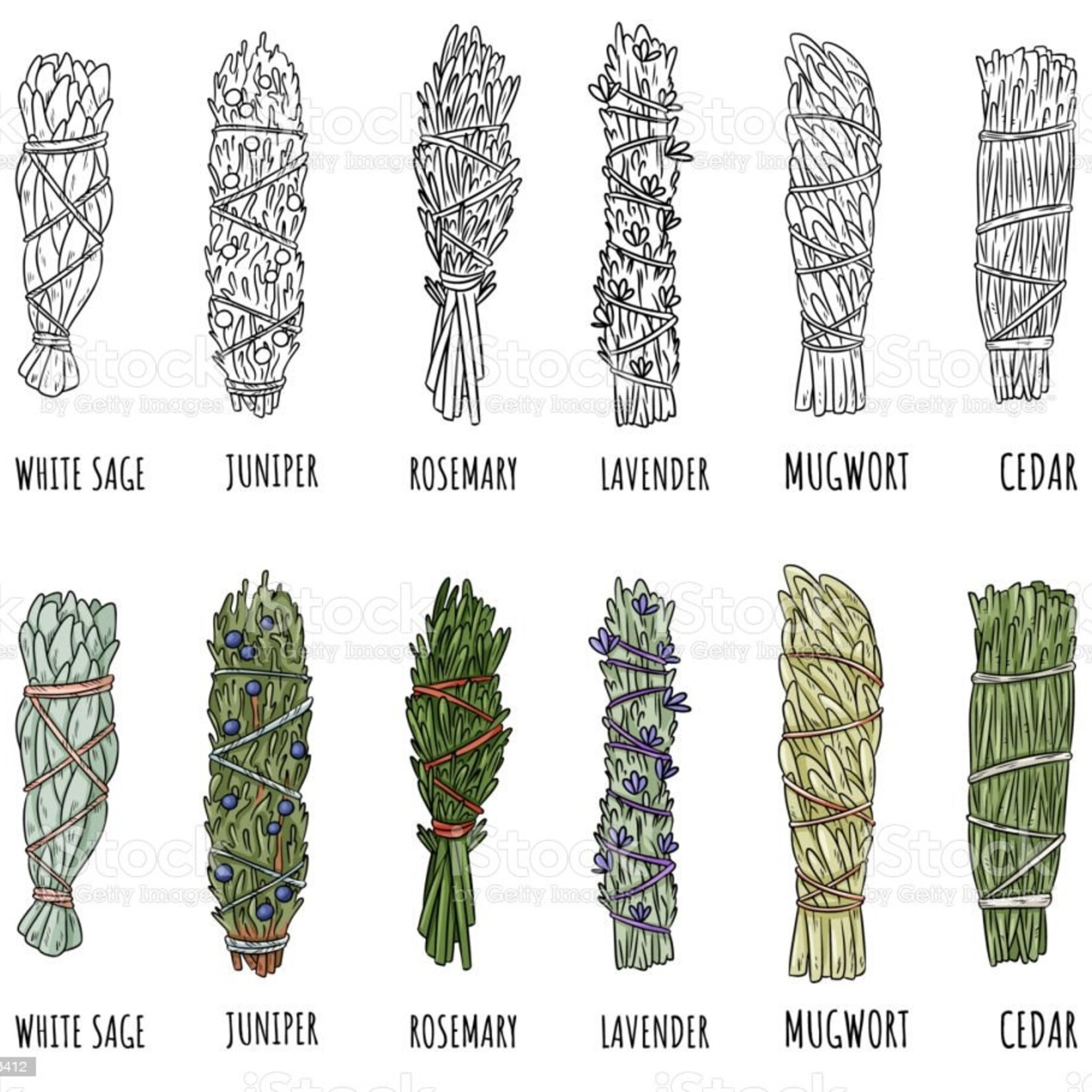 Bâton de sauge et de sapin - Mélange revitalisant pour le nettoyage et la santé, bienfaits curatifs du sapin ci-joints