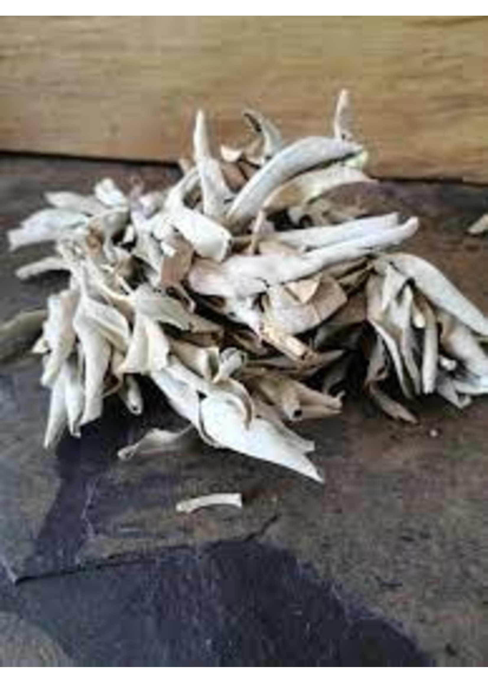 Pure California White Sage Cluster- 1 oz Package for Cleansing and Protection with 100% Natural Aromatic Herbs