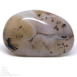 agate dendritique