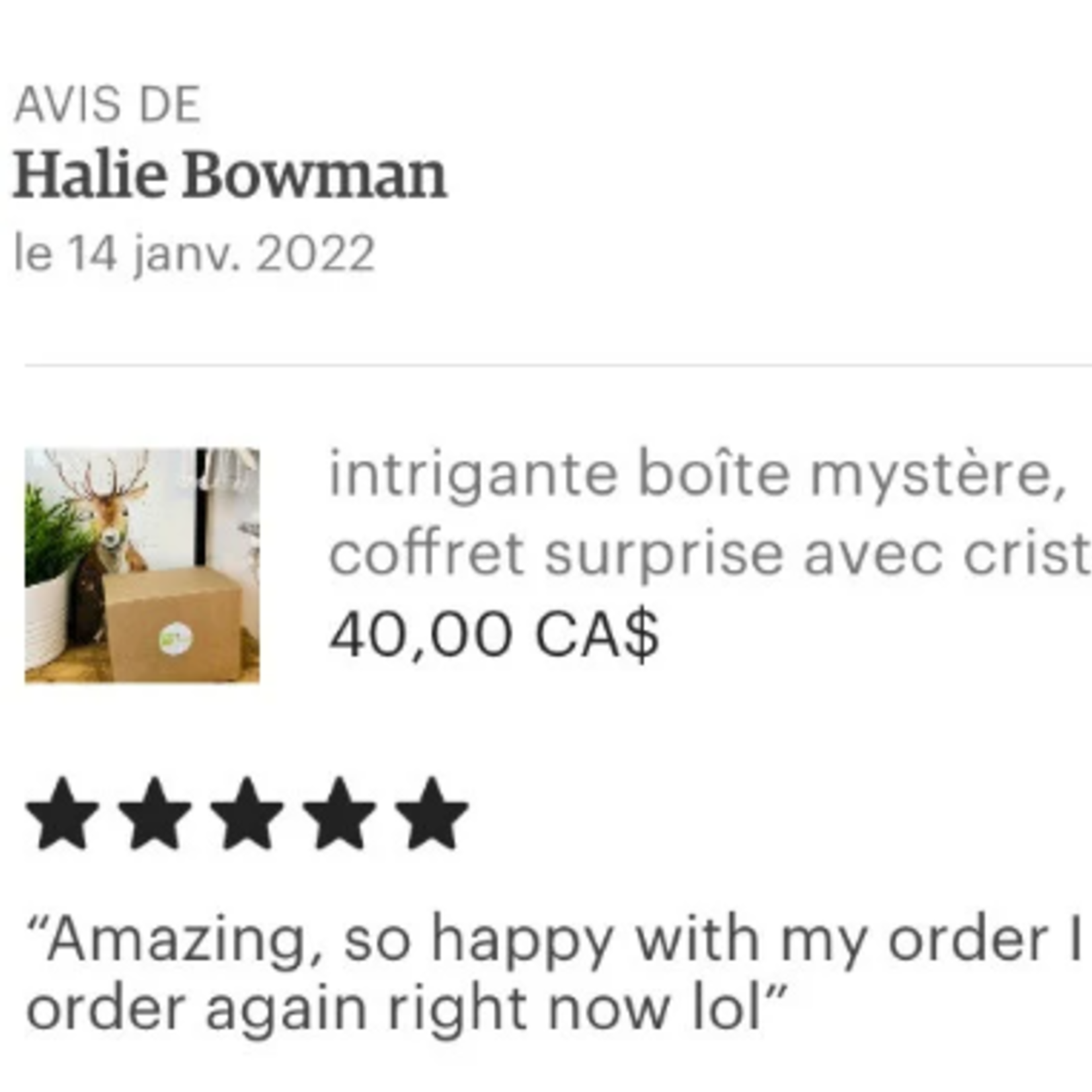 Boîte Mystère de Cristaux Haut de Gamme - Pierres de Guérison Choisis à la Main et Surprises Spirituelles