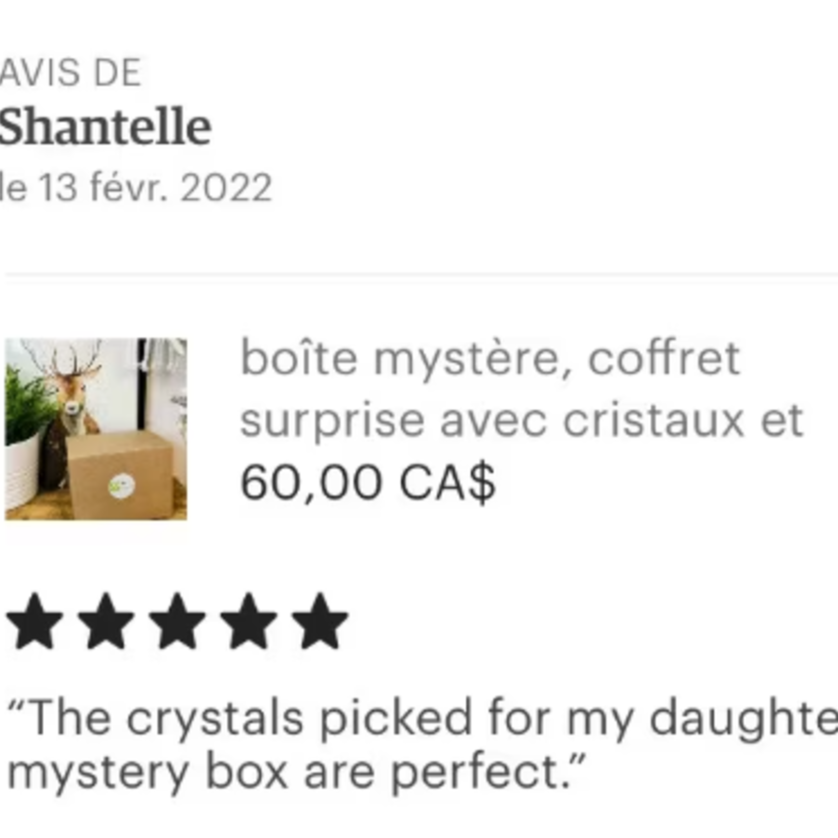 Boîte Mystère de Cristaux Haut de Gamme - Pierres de Guérison Choisis à la Main et Surprises Spirituelles