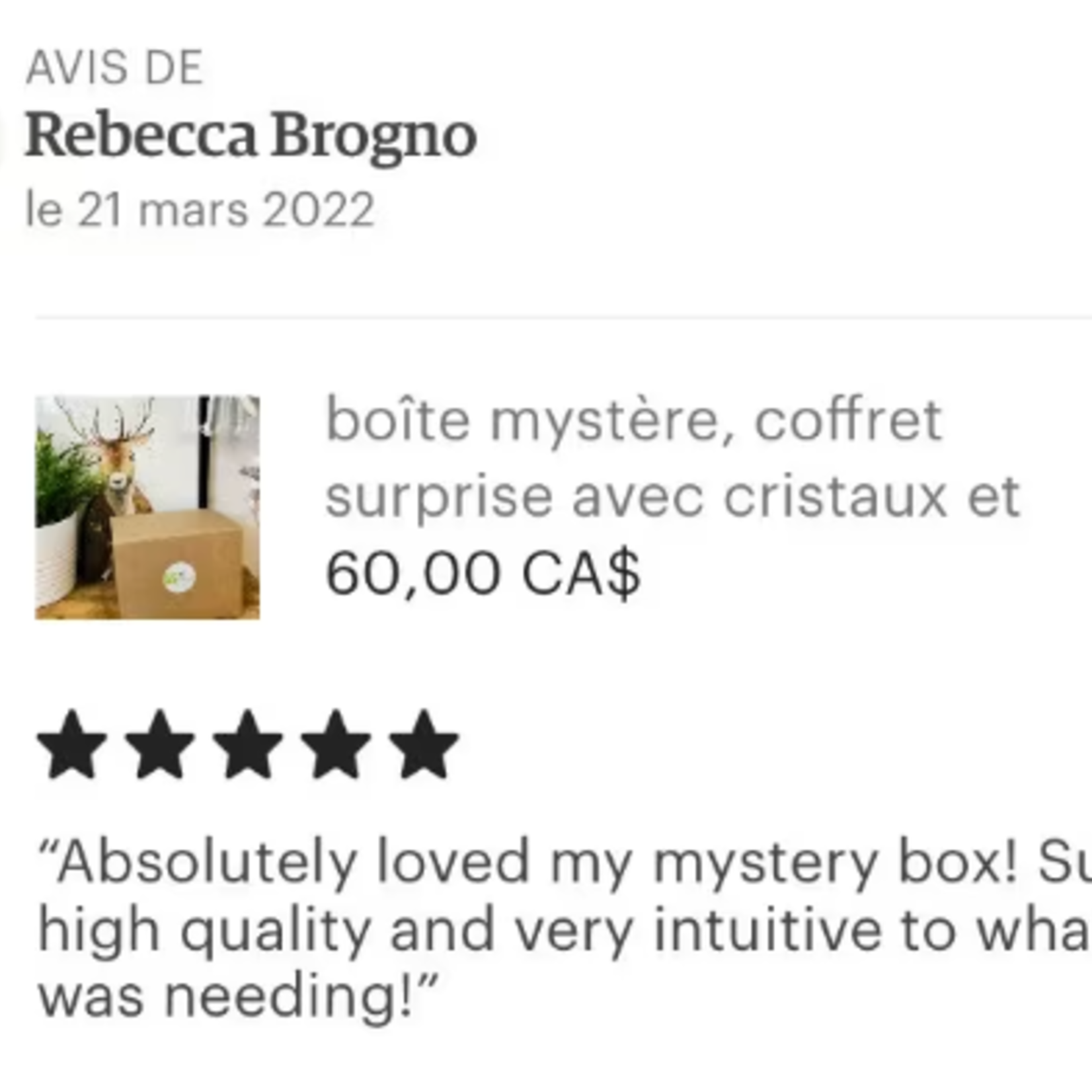Boîte Mystère de Cristaux Haut de Gamme - Pierres de Guérison Choisis à la Main et Surprises Spirituelles
