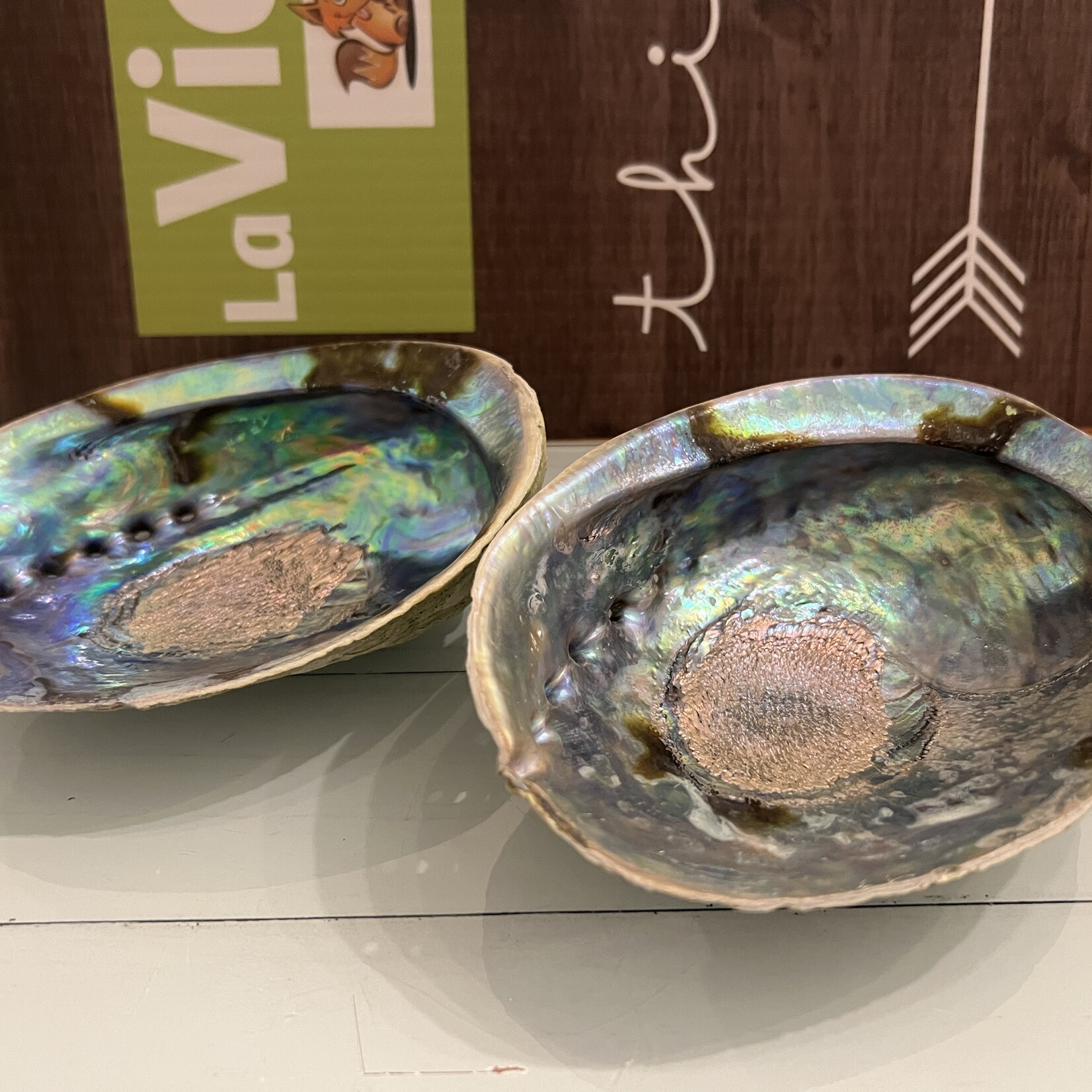 Quality Polished Abalone Shell – Ideal for Smudging and Incense Burning