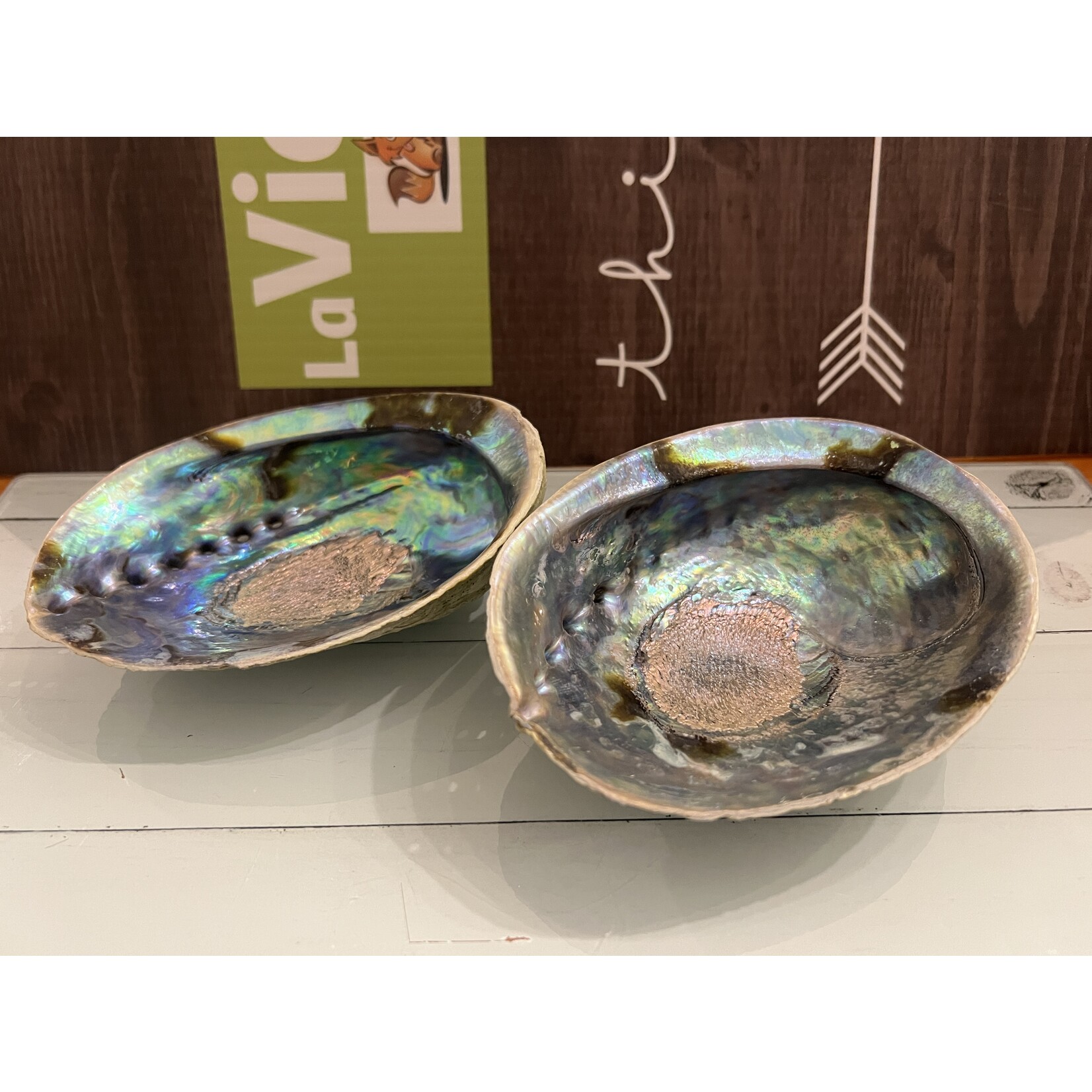 Quality Polished Abalone Shell – Ideal for Smudging and Incense Burning