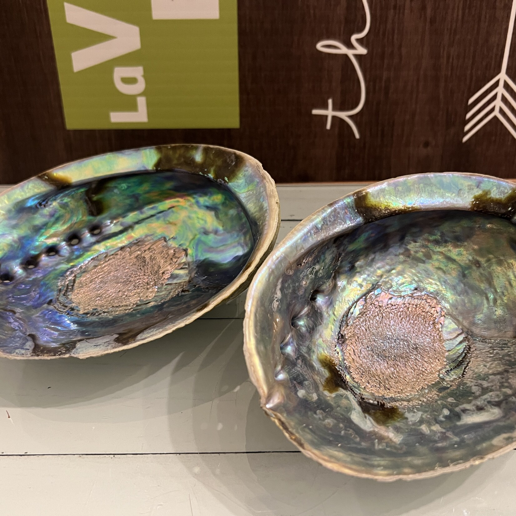 Quality Polished Abalone Shell – Ideal for Smudging and Incense Burning