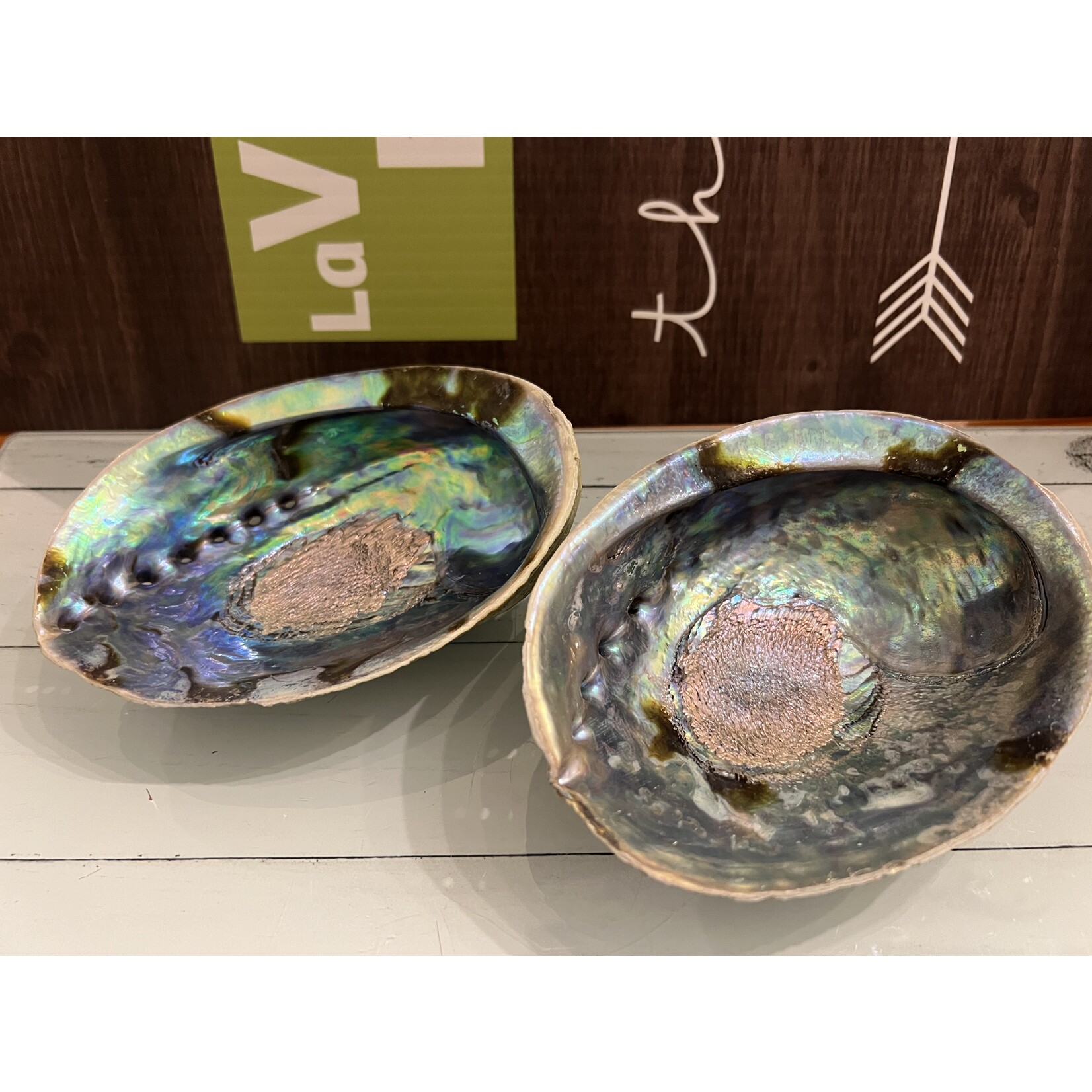 Quality Polished Abalone Shell – Ideal for Smudging and Incense Burning