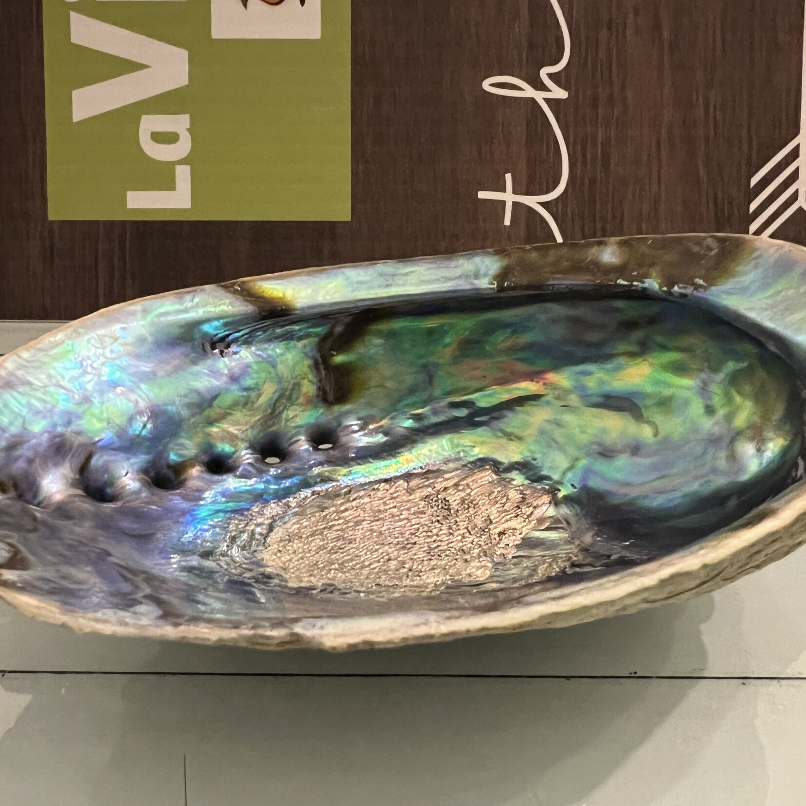 Quality Polished Abalone Shell – Ideal for Smudging and Incense Burning