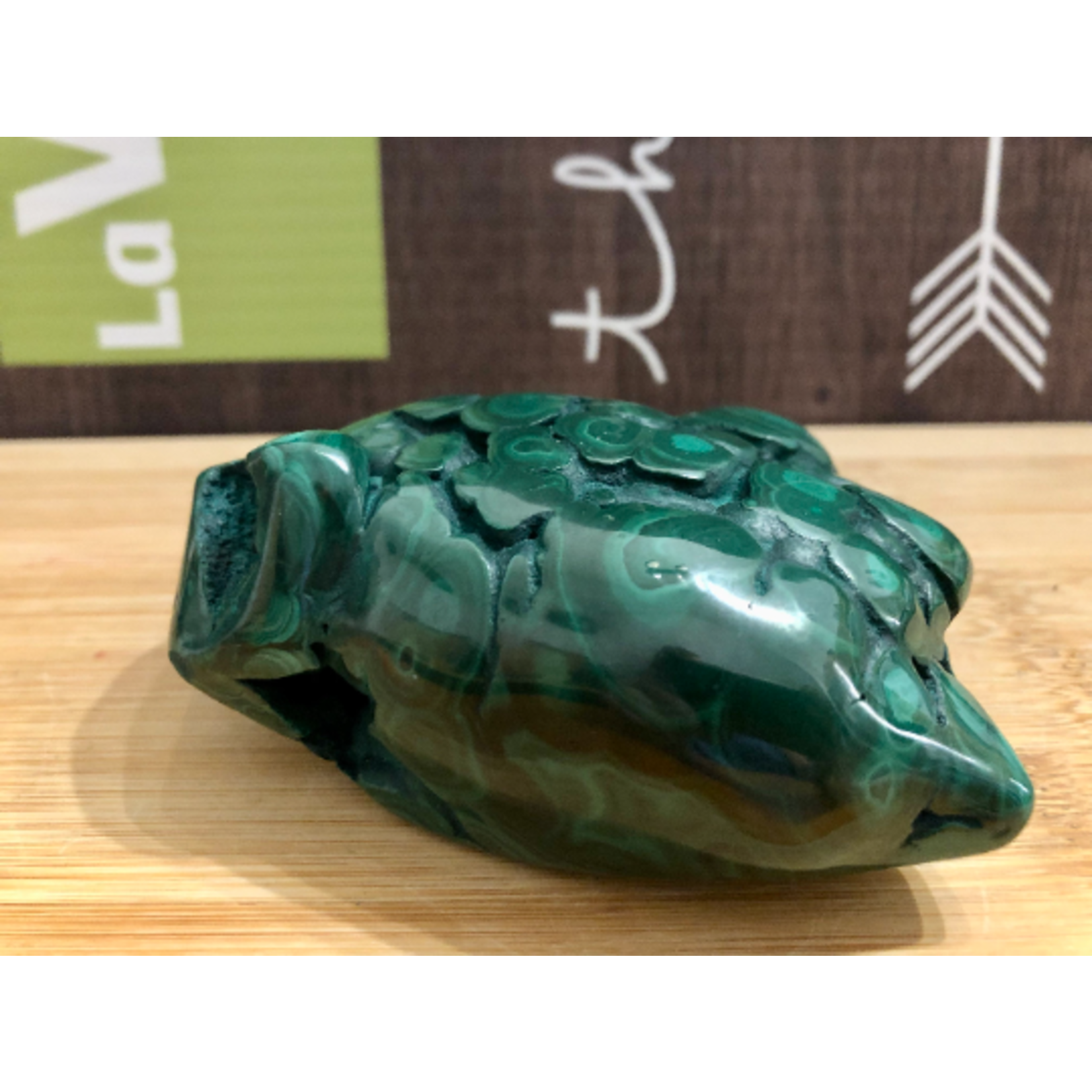 Unique Malachite Freeform – Frog-Like Shape & Energy Enhancer