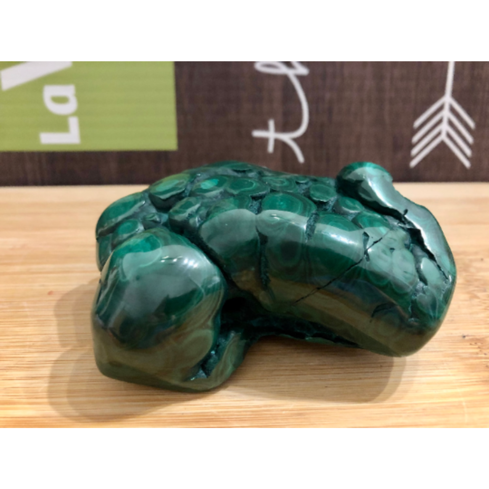 Unique Malachite Freeform – Frog-Like Shape & Energy Enhancer