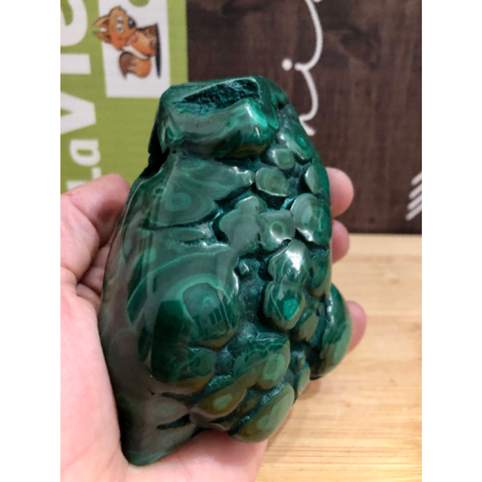 Unique Malachite Freeform – Frog-Like Shape & Energy Enhancer