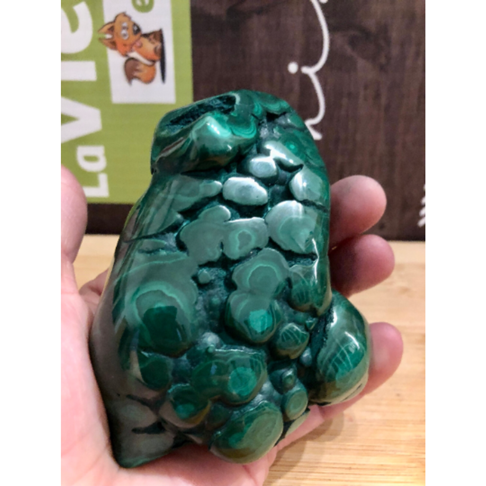 Malachite Libre Unique – Forme de Grenouille & Amplificateur d'Énergie