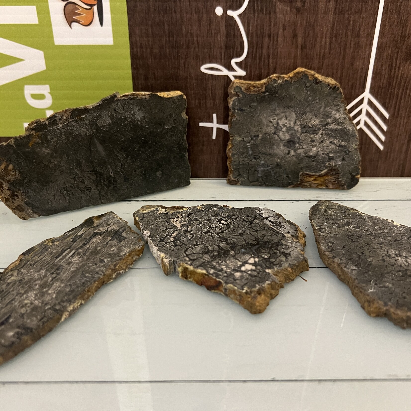 Marcasite Slice – Unique Geometric Patterns, Natural Energy Enhancer, Distinctive Mineral Slice
