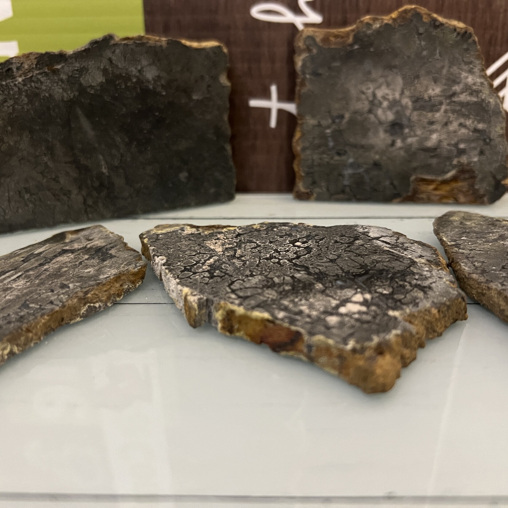 Marcasite Slice – Unique Geometric Patterns, Natural Energy Enhancer, Distinctive Mineral Slice
