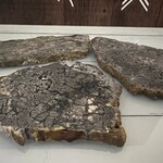 Tranche de marcassite – Motifs géométriques uniques, exhausteur d’énergie naturel, tranche minérale distinctive