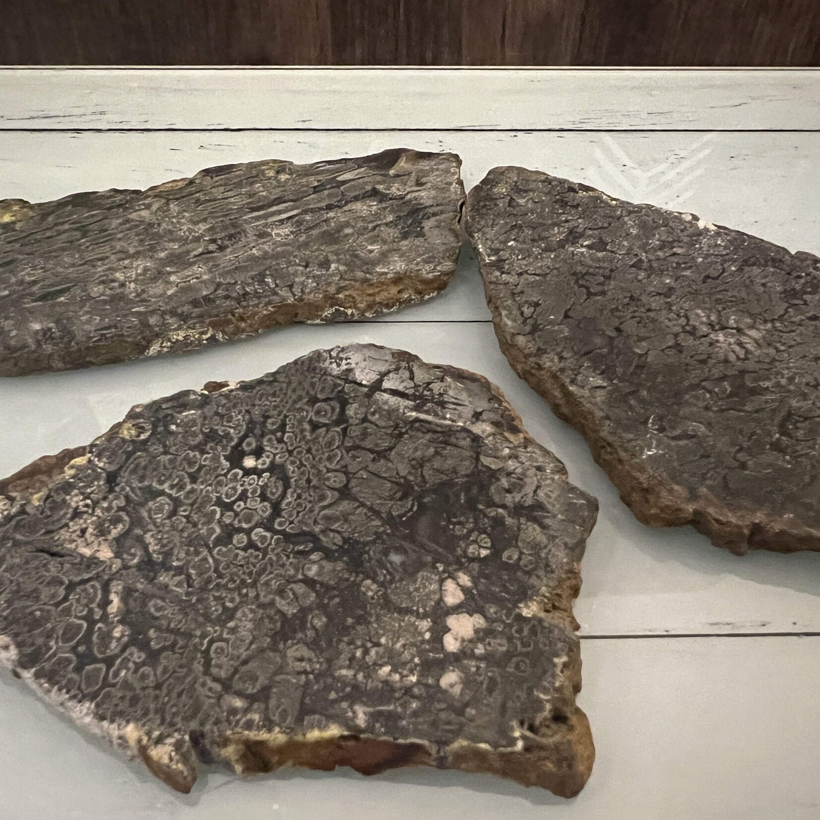 Marcasite Slice – Unique Geometric Patterns, Natural Energy Enhancer, Distinctive Mineral Slice