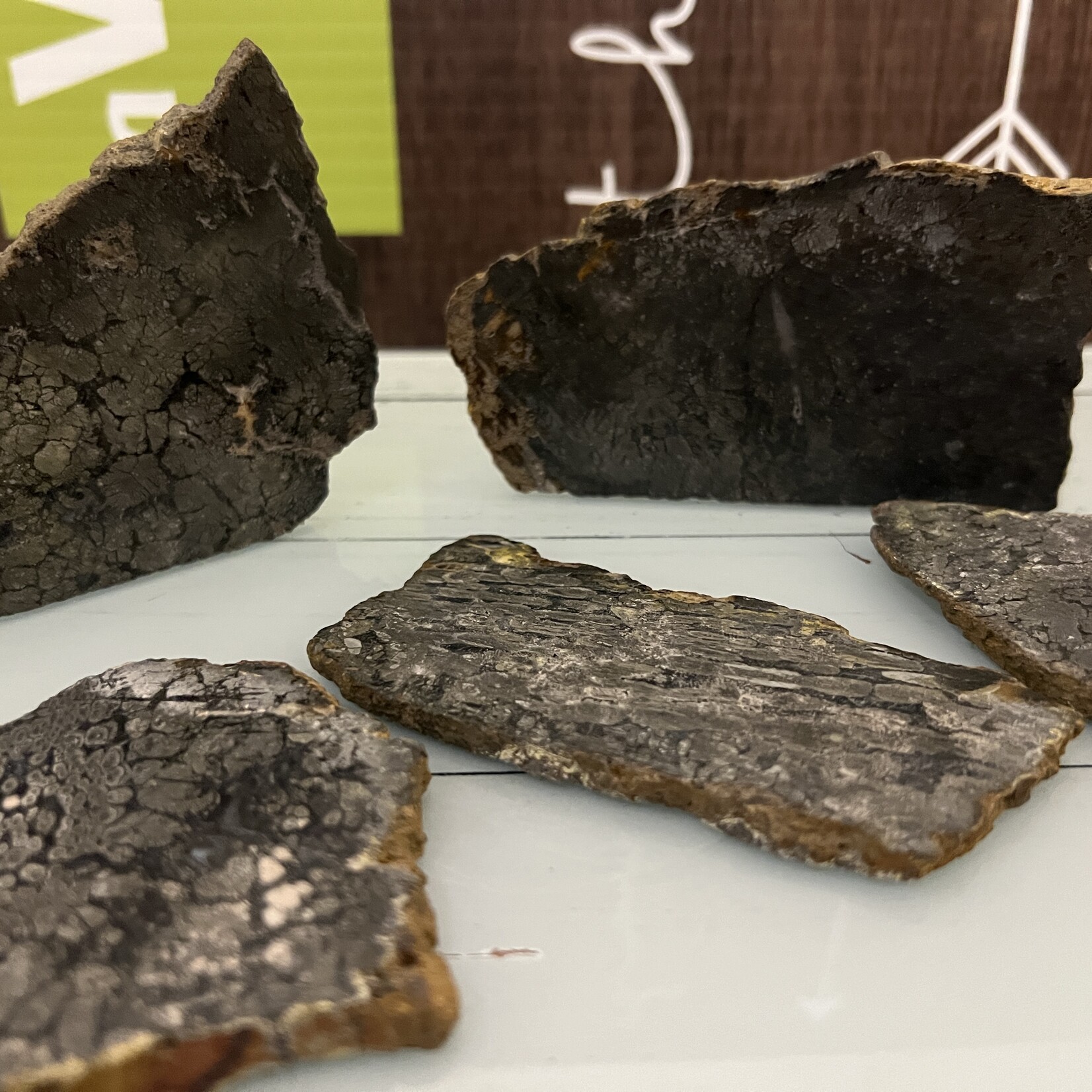 Marcasite Slice – Unique Geometric Patterns, Natural Energy Enhancer, Distinctive Mineral Slice