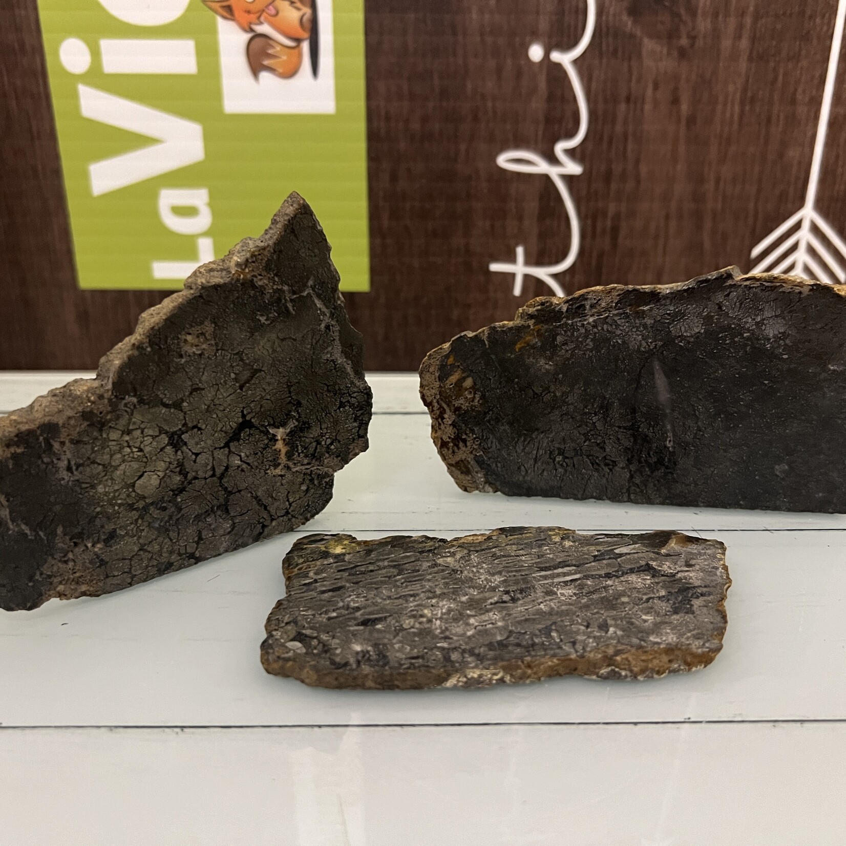 Marcasite Slice – Unique Geometric Patterns, Natural Energy Enhancer, Distinctive Mineral Slice