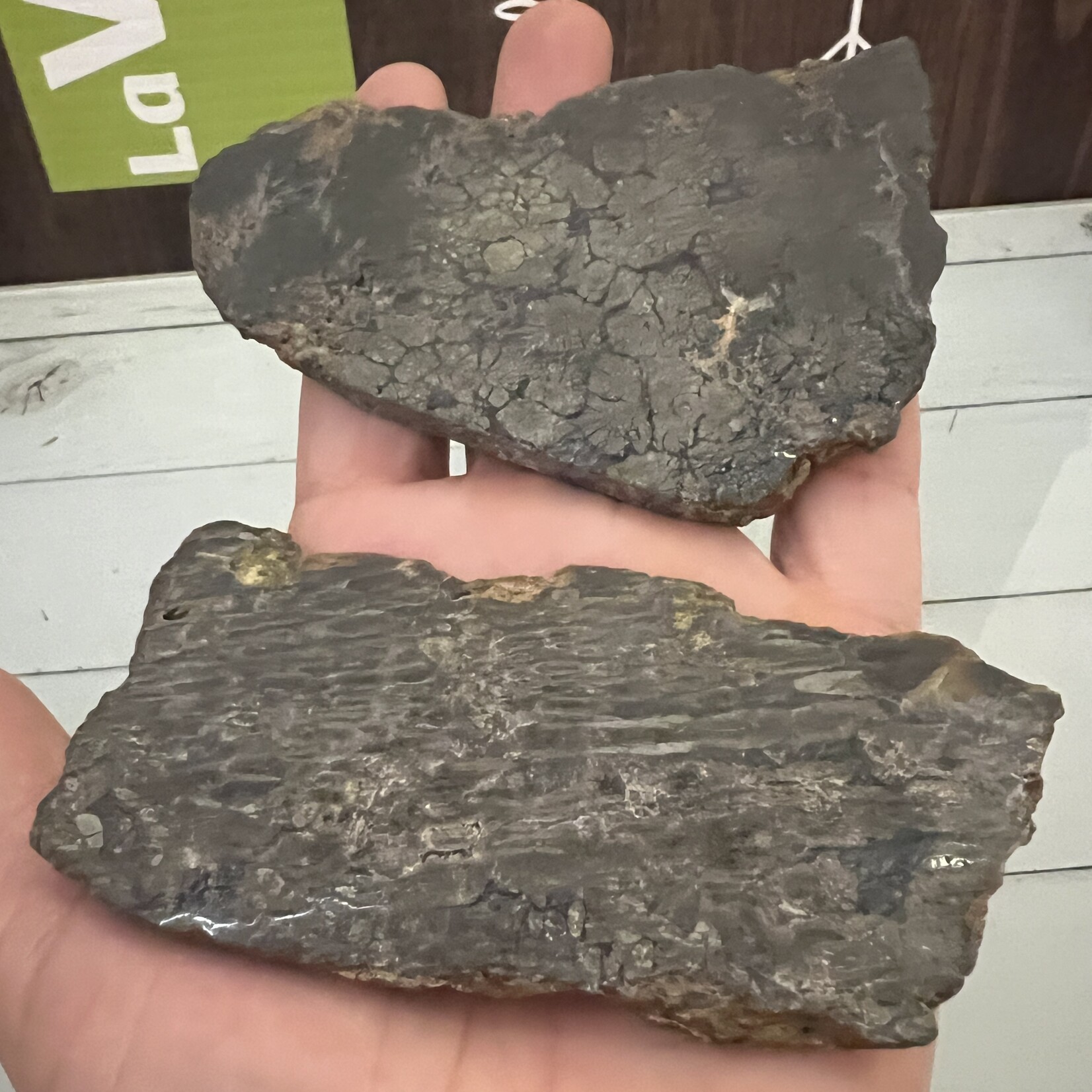 Marcasite Slice – Unique Geometric Patterns, Natural Energy Enhancer, Distinctive Mineral Slice