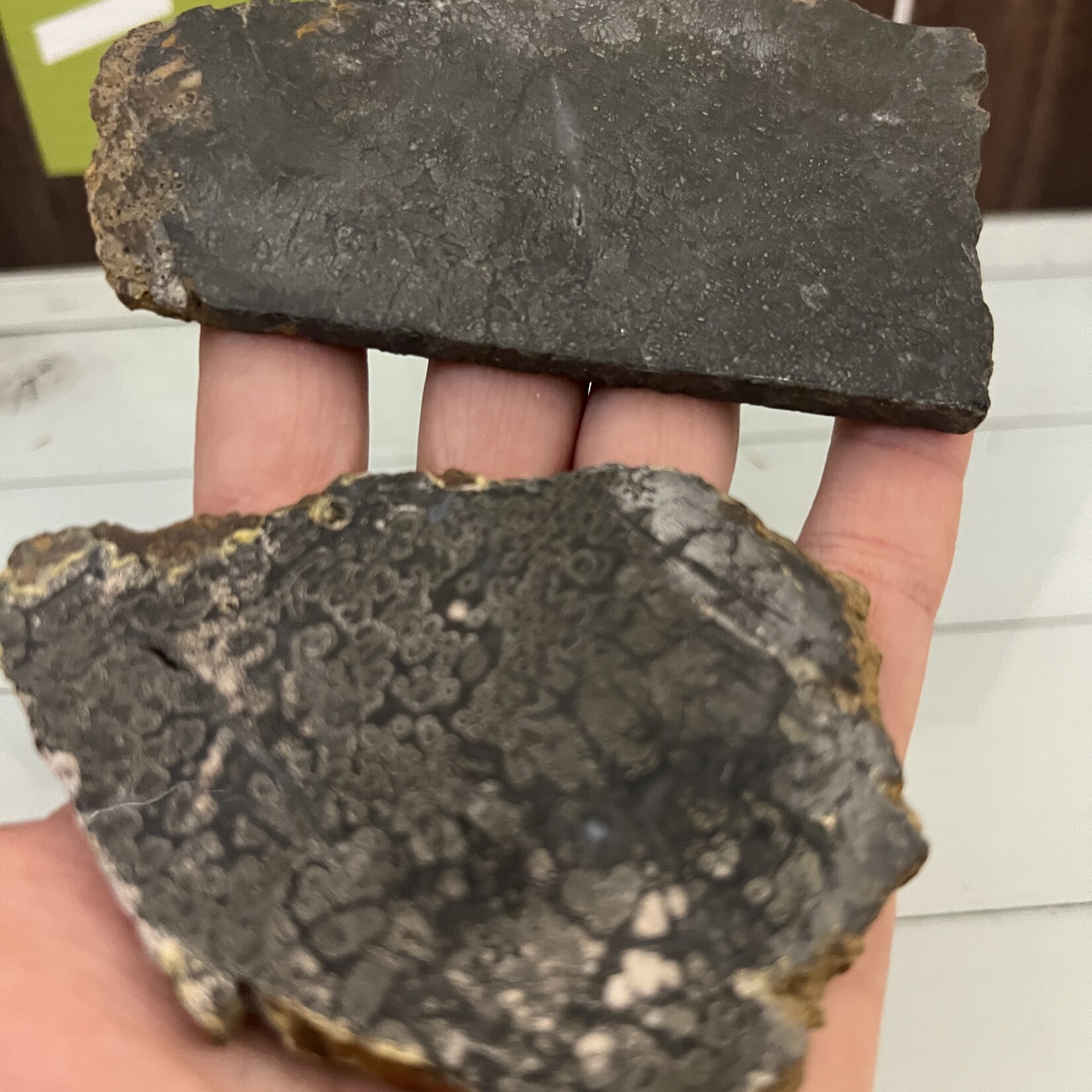 Marcasite Slice – Unique Geometric Patterns, Natural Energy Enhancer, Distinctive Mineral Slice