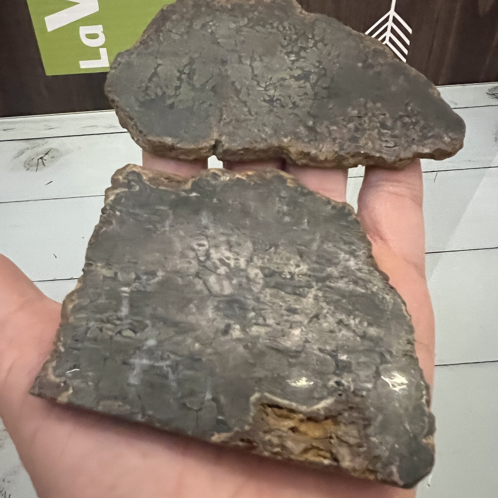 Marcasite Slice – Unique Geometric Patterns, Natural Energy Enhancer, Distinctive Mineral Slice
