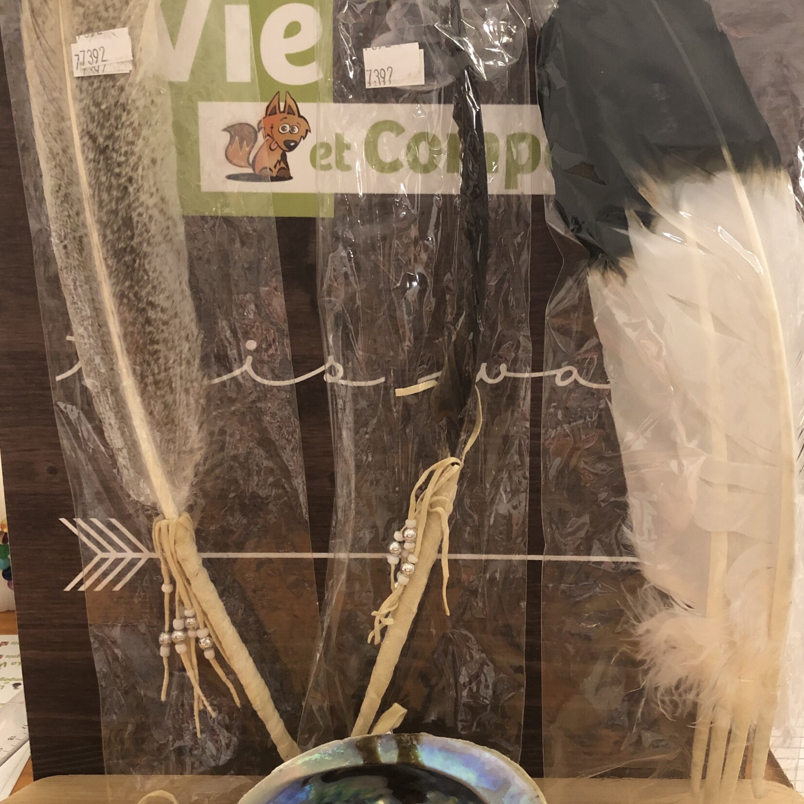 Purification Feathers for Sage