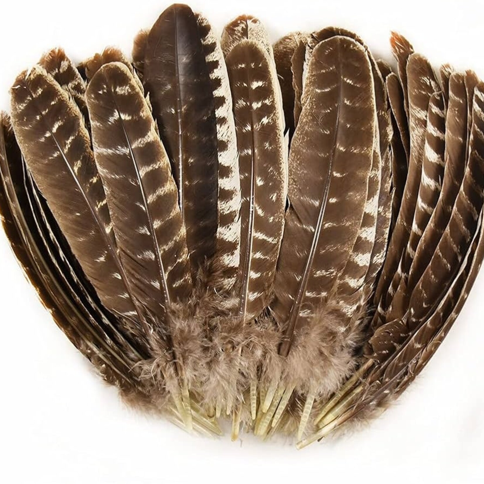 Purification Feathers for Sage