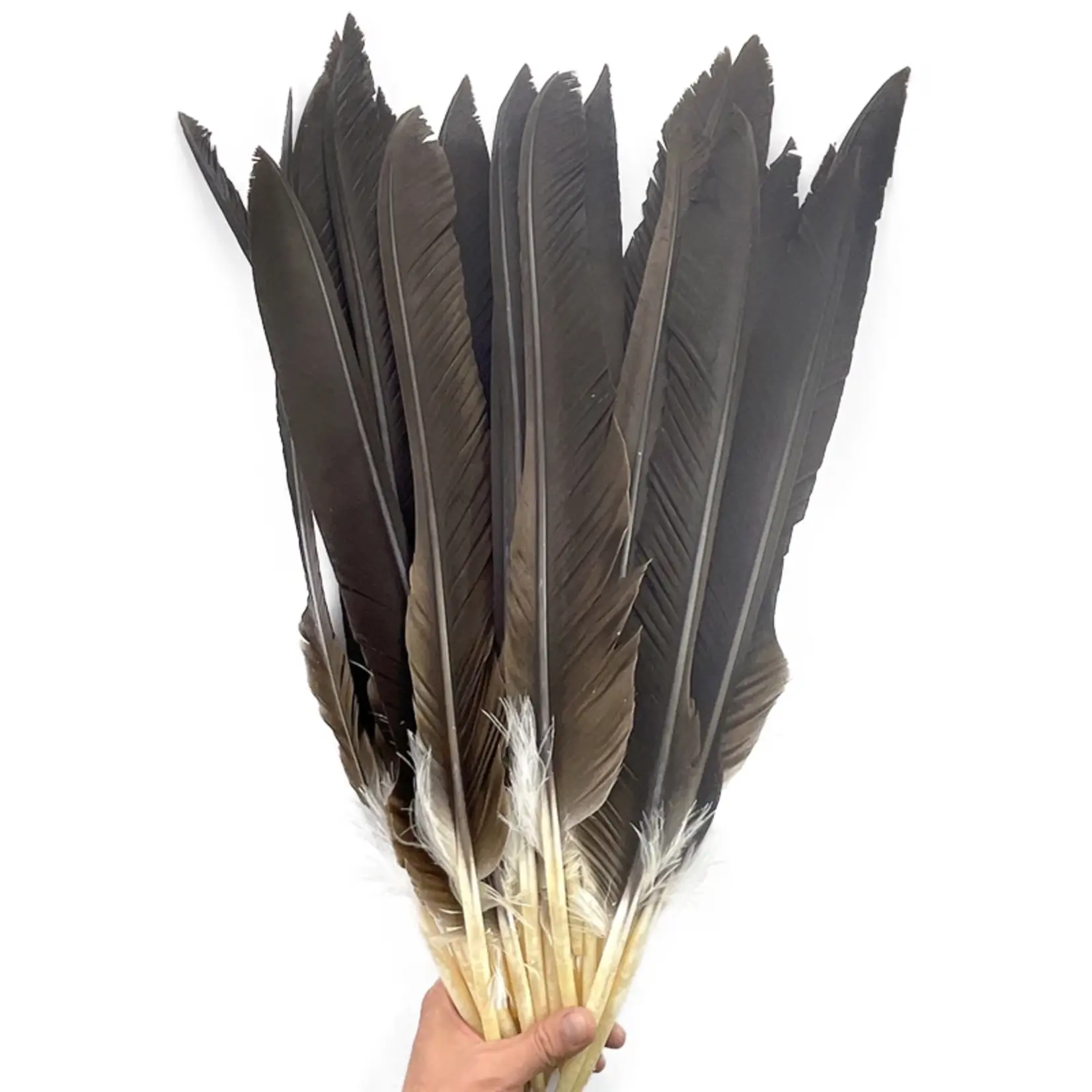 Purification Feathers for Sage