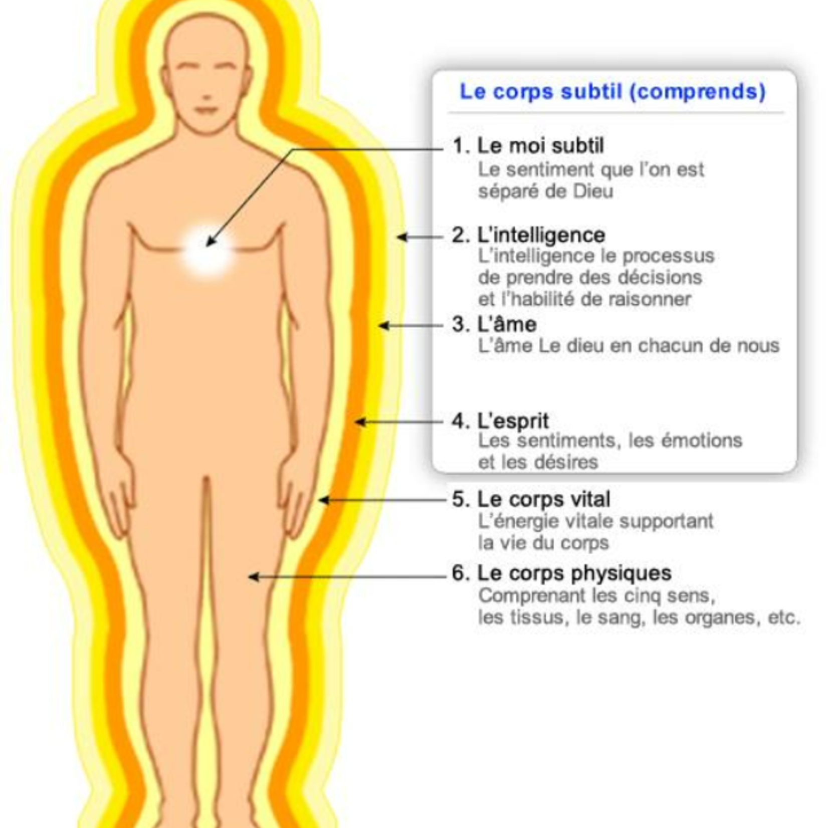 Séance de Reiki à Distance : Équilibre et Harmonie Énergétique