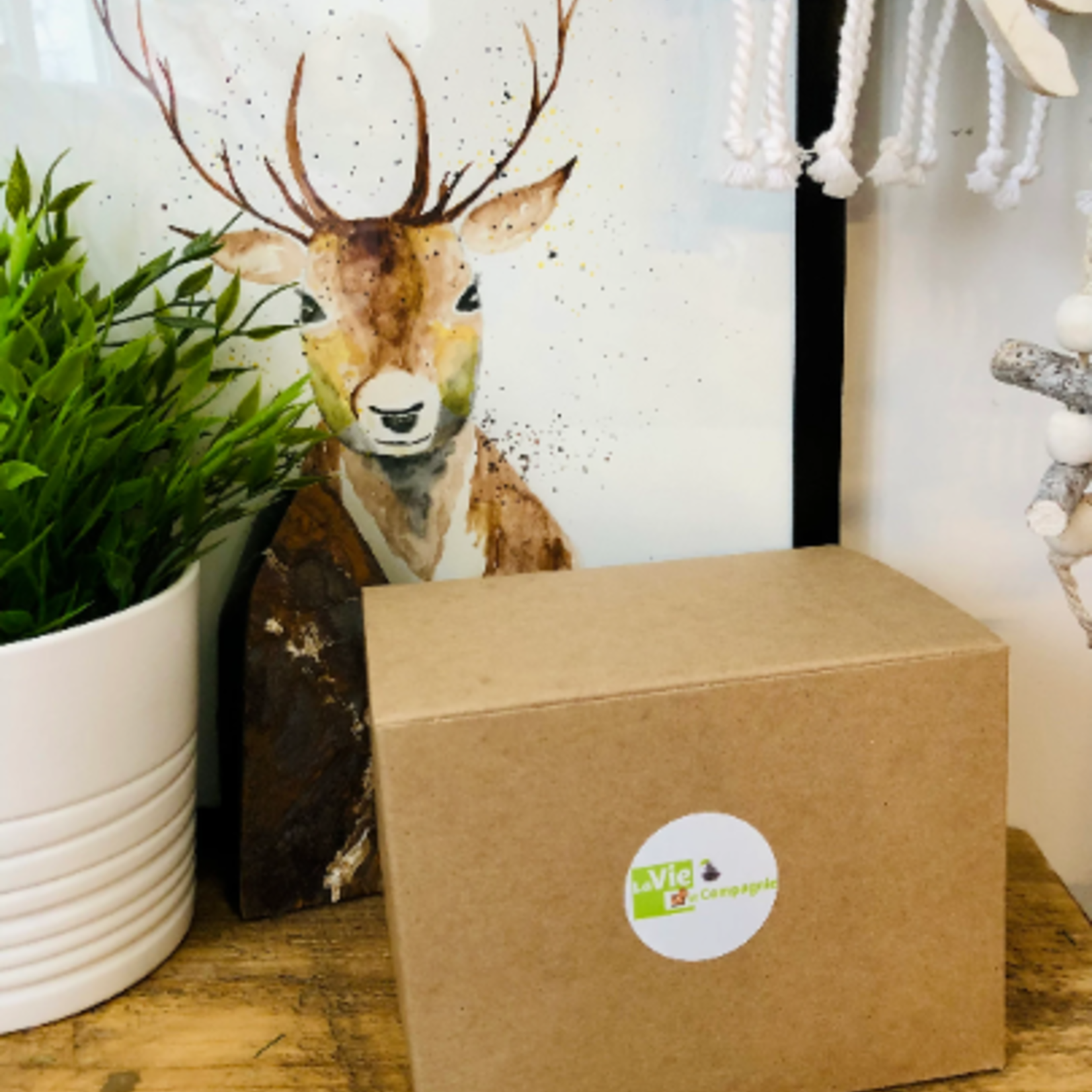 Monthly Mystery Wellness Boxes Subscription - La Vie et Compagnie