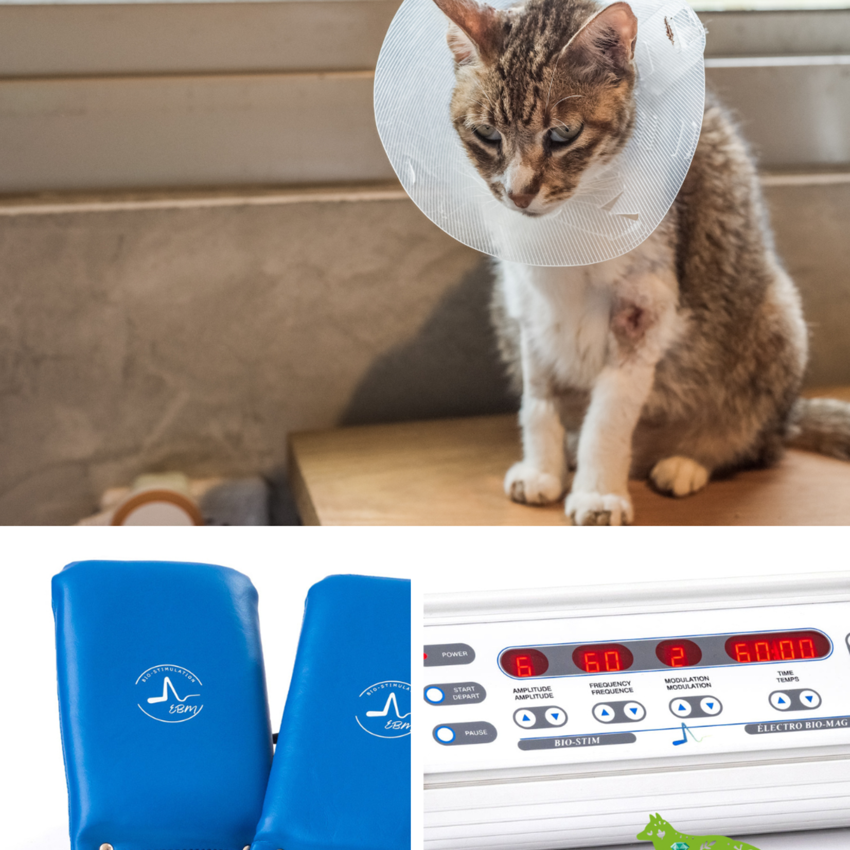 Electromagnetic Recovery Session: Naturally Enhance Your Well-being