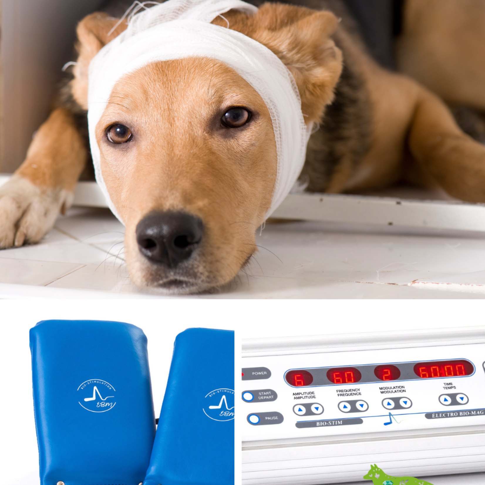 Bio-Stim System for Rent – For Natural Healing and Optimal Well-being