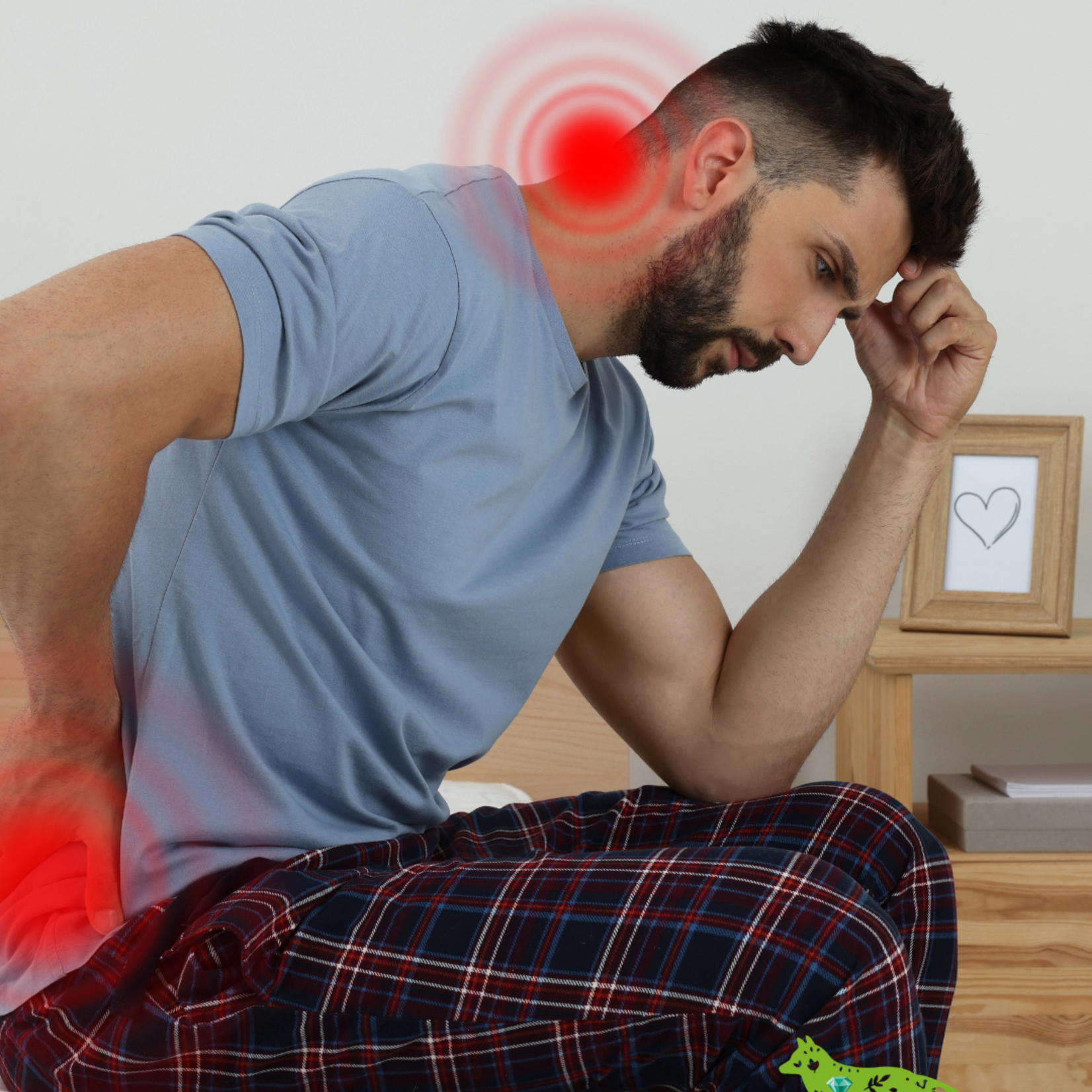 Bio-Stim System for Rent – For Natural Healing and Optimal Well-being