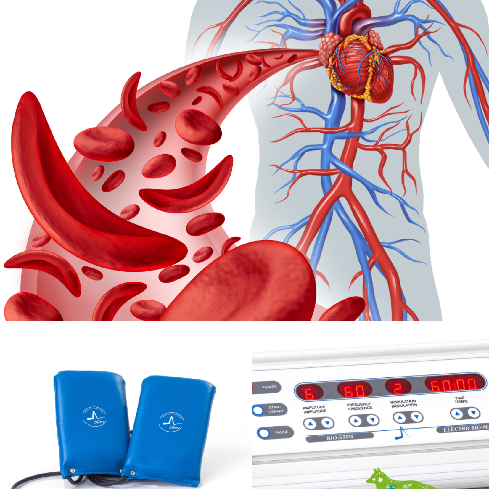 Buy Bio-Stim Device - Electromagnetic Field Technology to Relieve Pain and Optimize Recovery