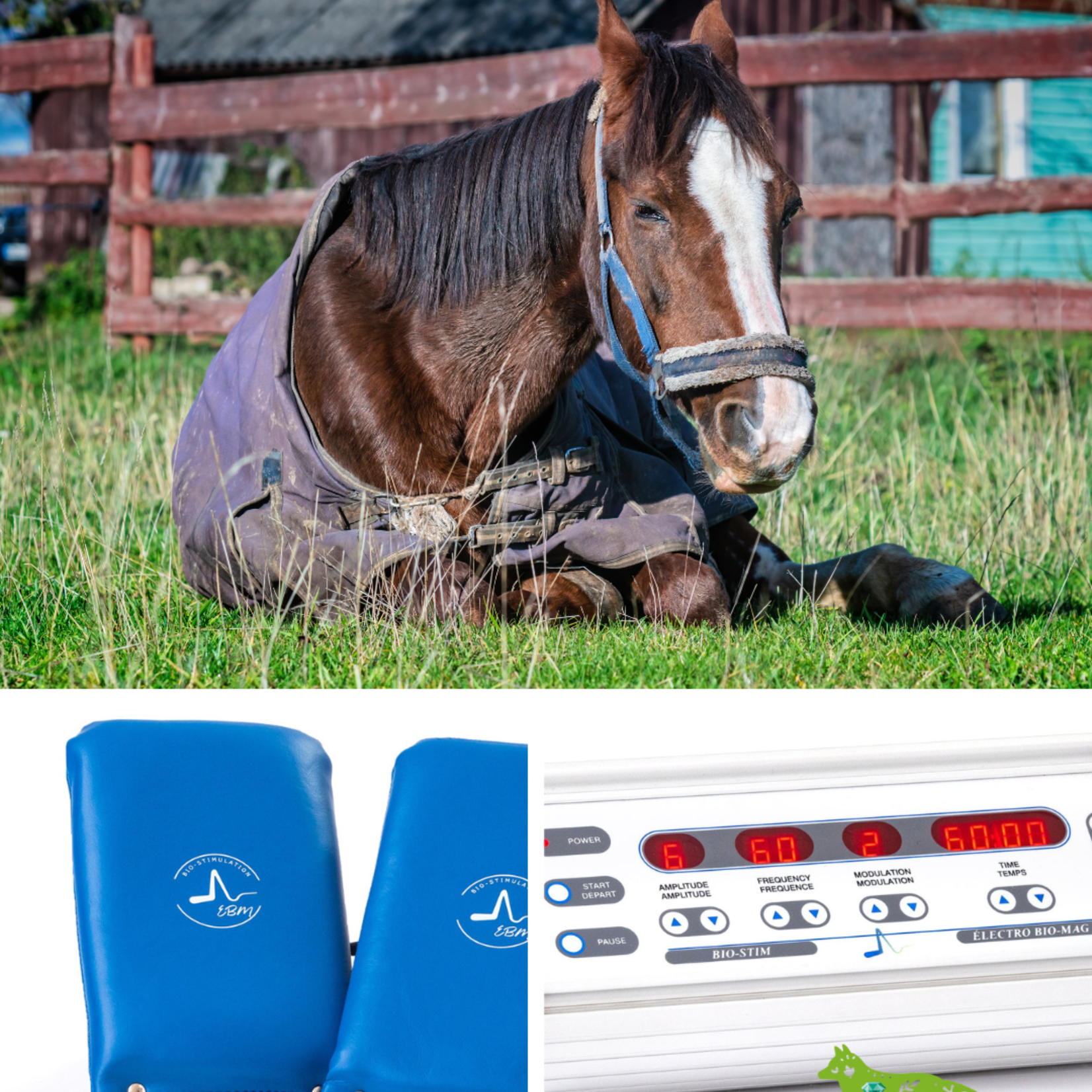Buy Bio-Stim Device - Electromagnetic Field Technology to Relieve Pain and Optimize Recovery