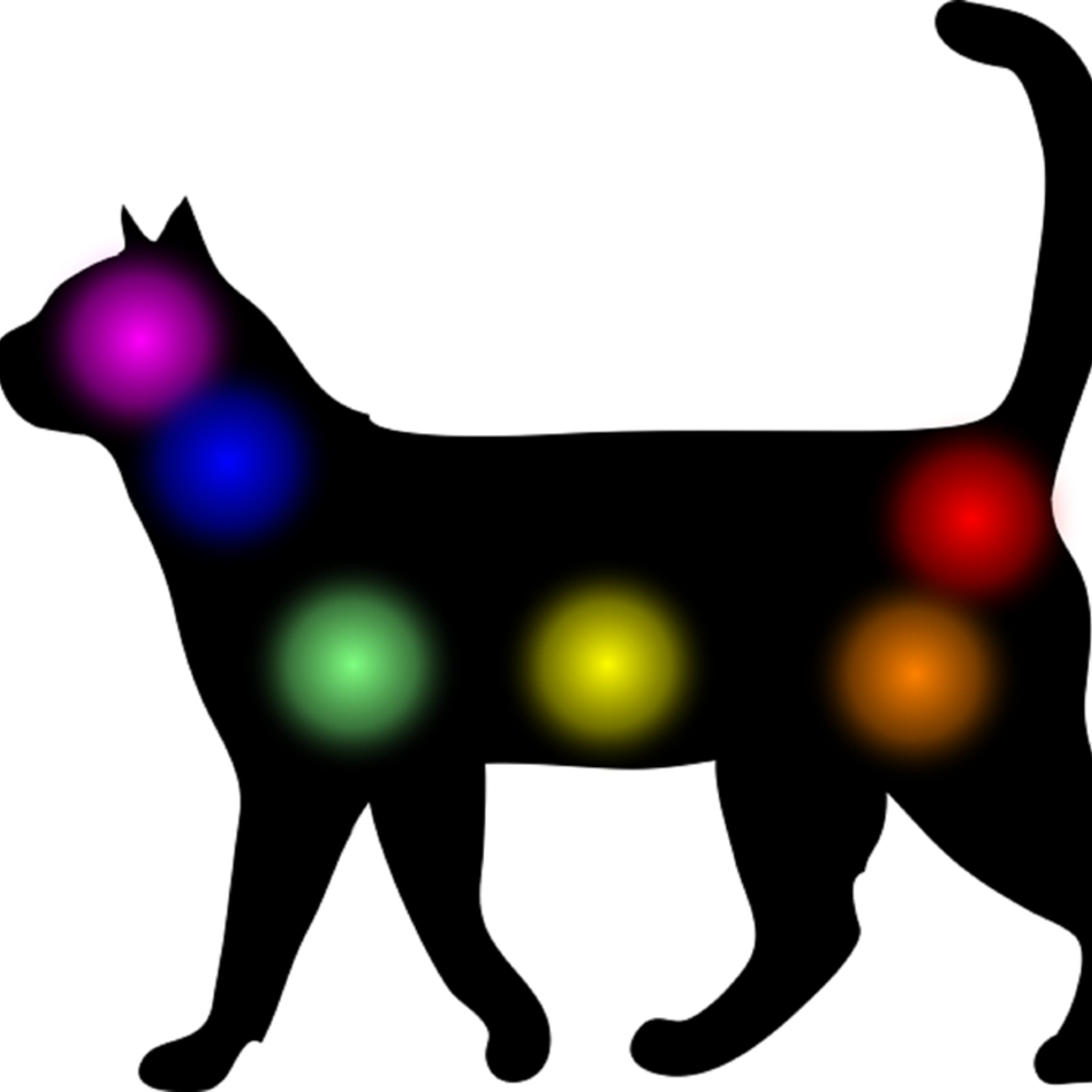 Soin Énergétique Reiki & Communication Animale pour Animaux – À Distance