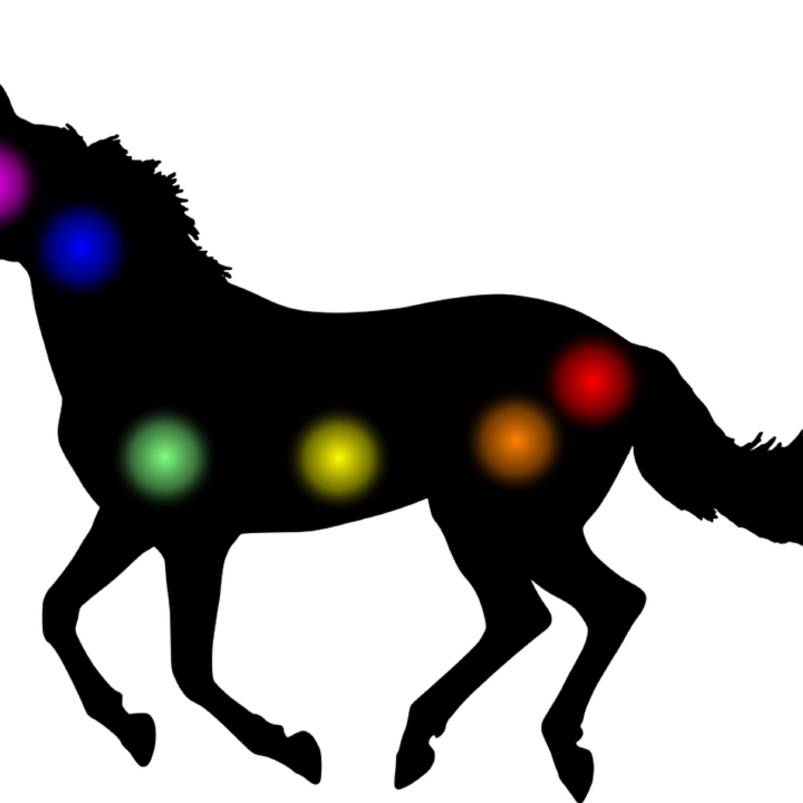 Remote Reiki Energy Healing & Animal Communication Session for Pets