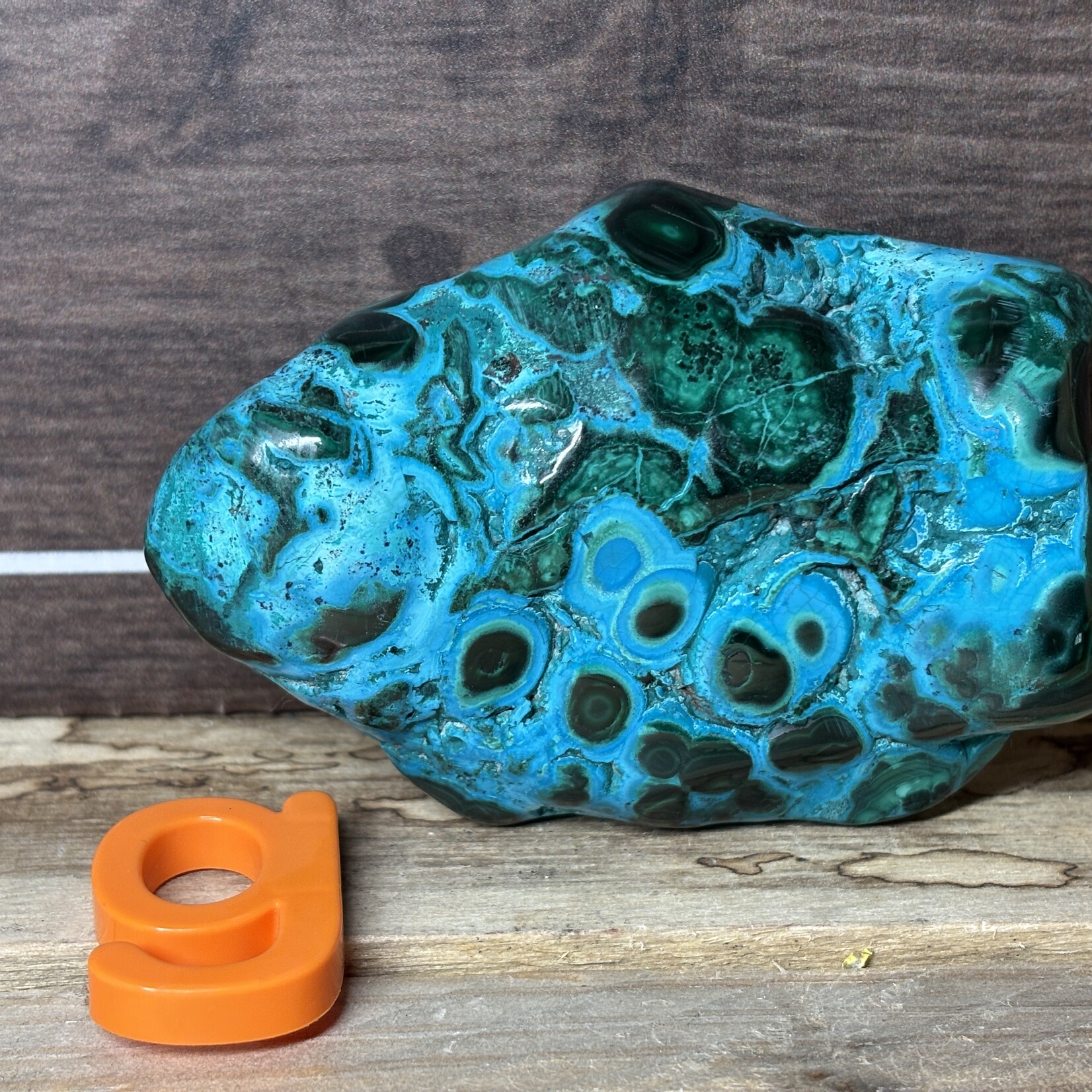 Polished Chrysocolla Crystal – Soothing Blue-Green Stone for Emotional Healing, Inner Peace & Clear Communication – Various Sizes