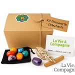 Beginner’s Discovery Gift Box