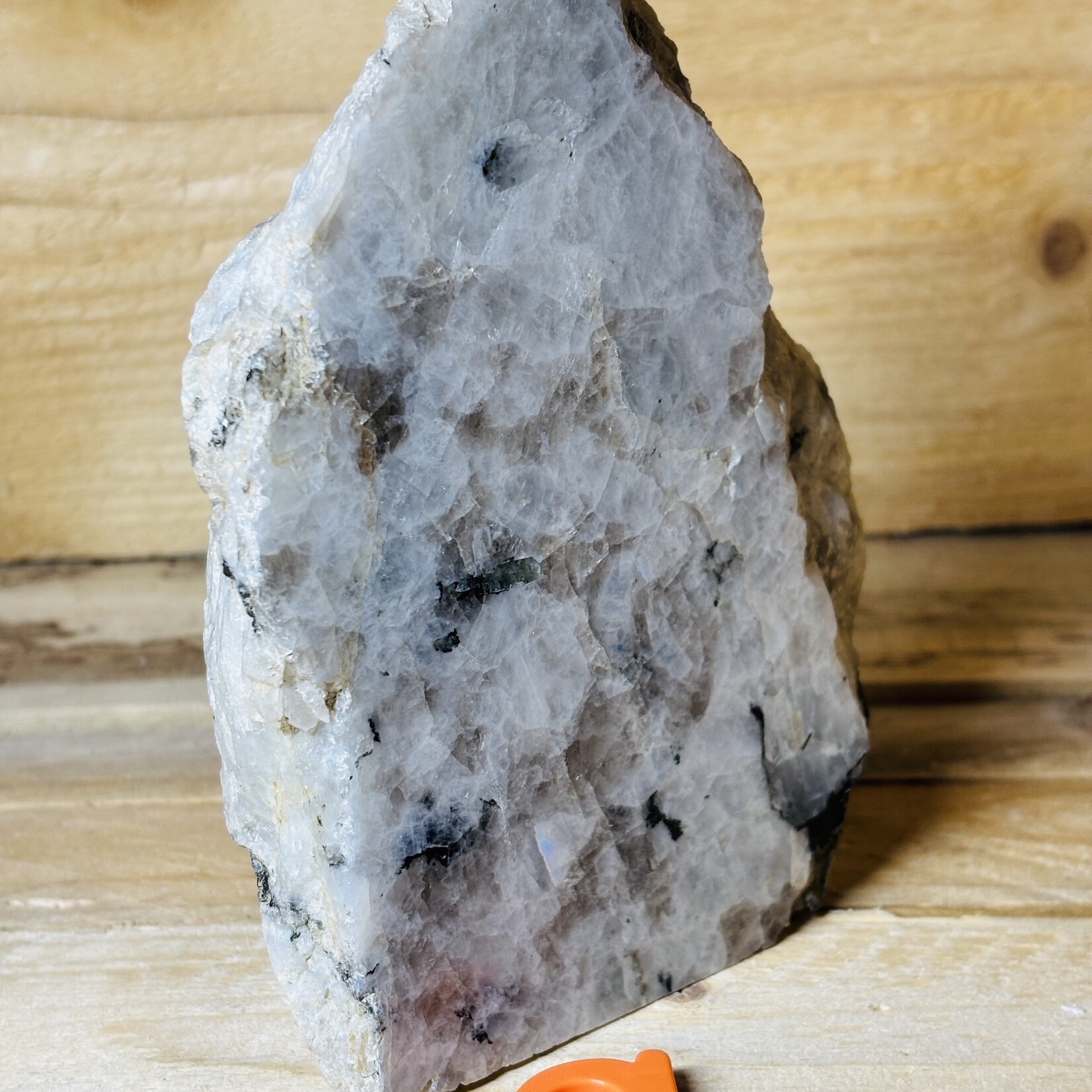 Rainbow Moonstone Raw & Polished – Feminine Energy & Intuition