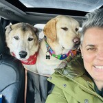 Accompagnement par la présence animale