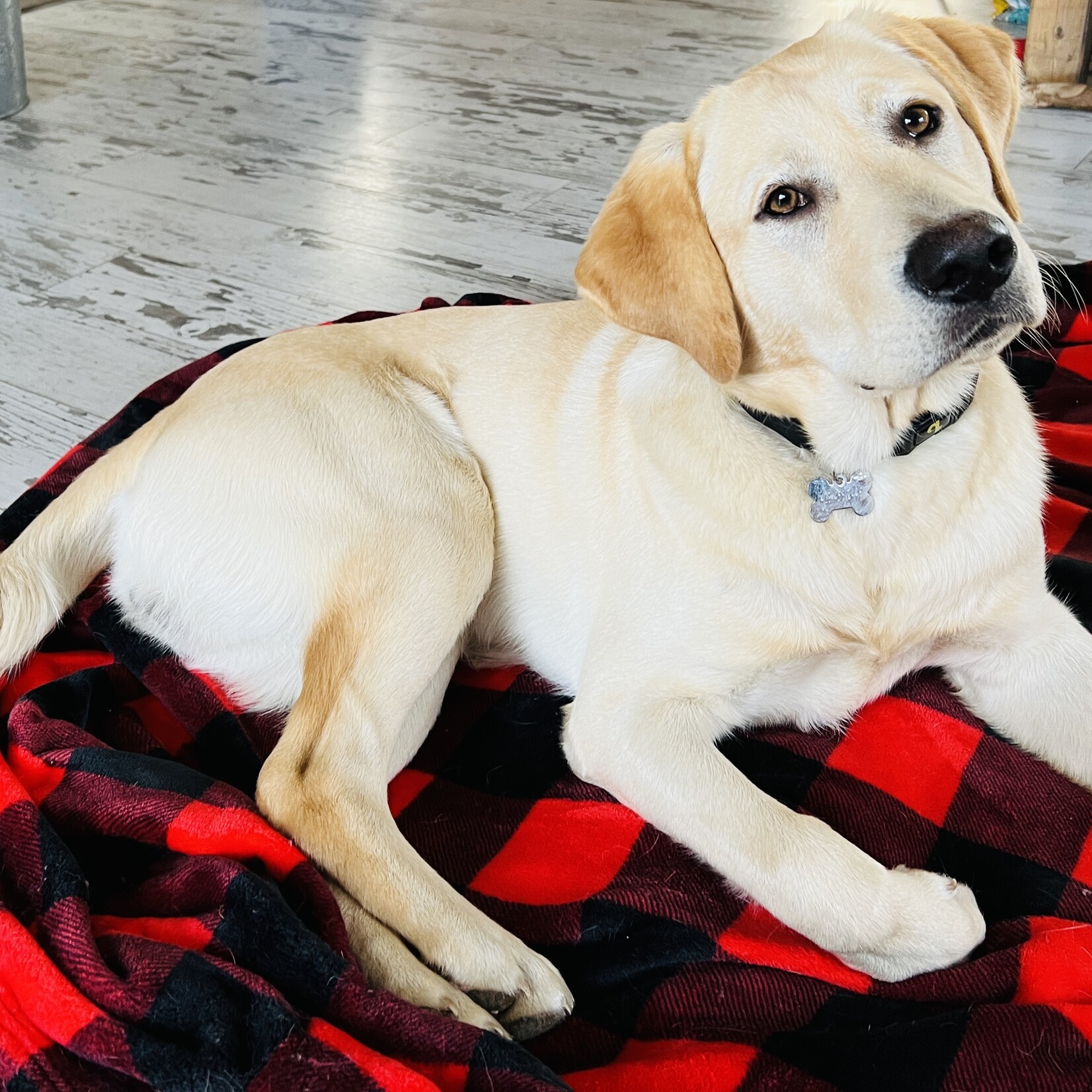 Accompagnement stratégique et humain pour milieux exigeants