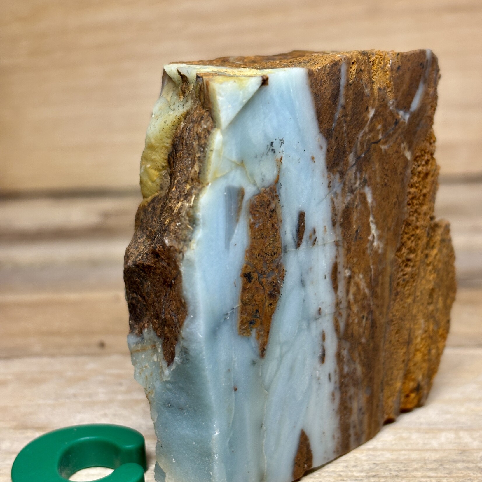 Pierre d'Océan de la Colombie-Britannique – Chalcedoine Bleue et Serpentine Rare de Colombie-Britannique