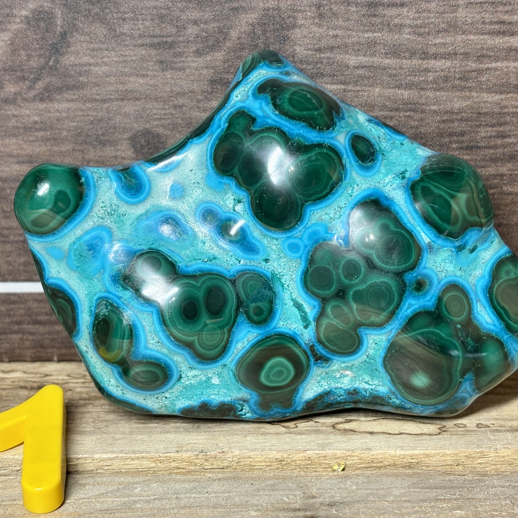 Polished Chrysocolla Crystal – Soothing Blue-Green Stone for Emotional Healing, Inner Peace & Clear Communication – Various Sizes