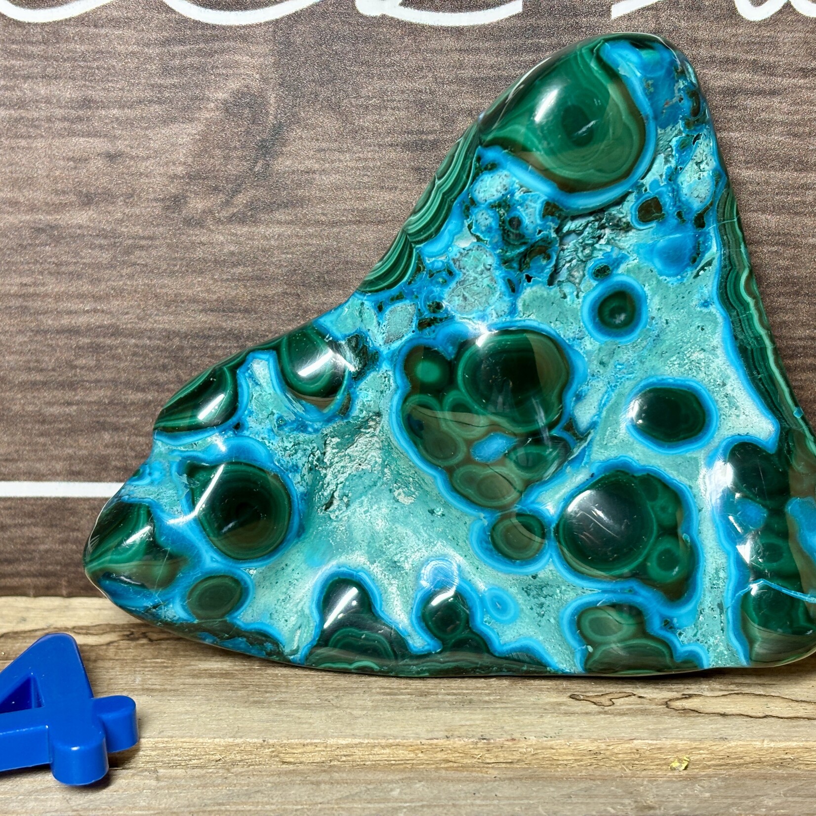 Polished Chrysocolla Crystal – Soothing Blue-Green Stone for Emotional Healing, Inner Peace & Clear Communication – Various Sizes