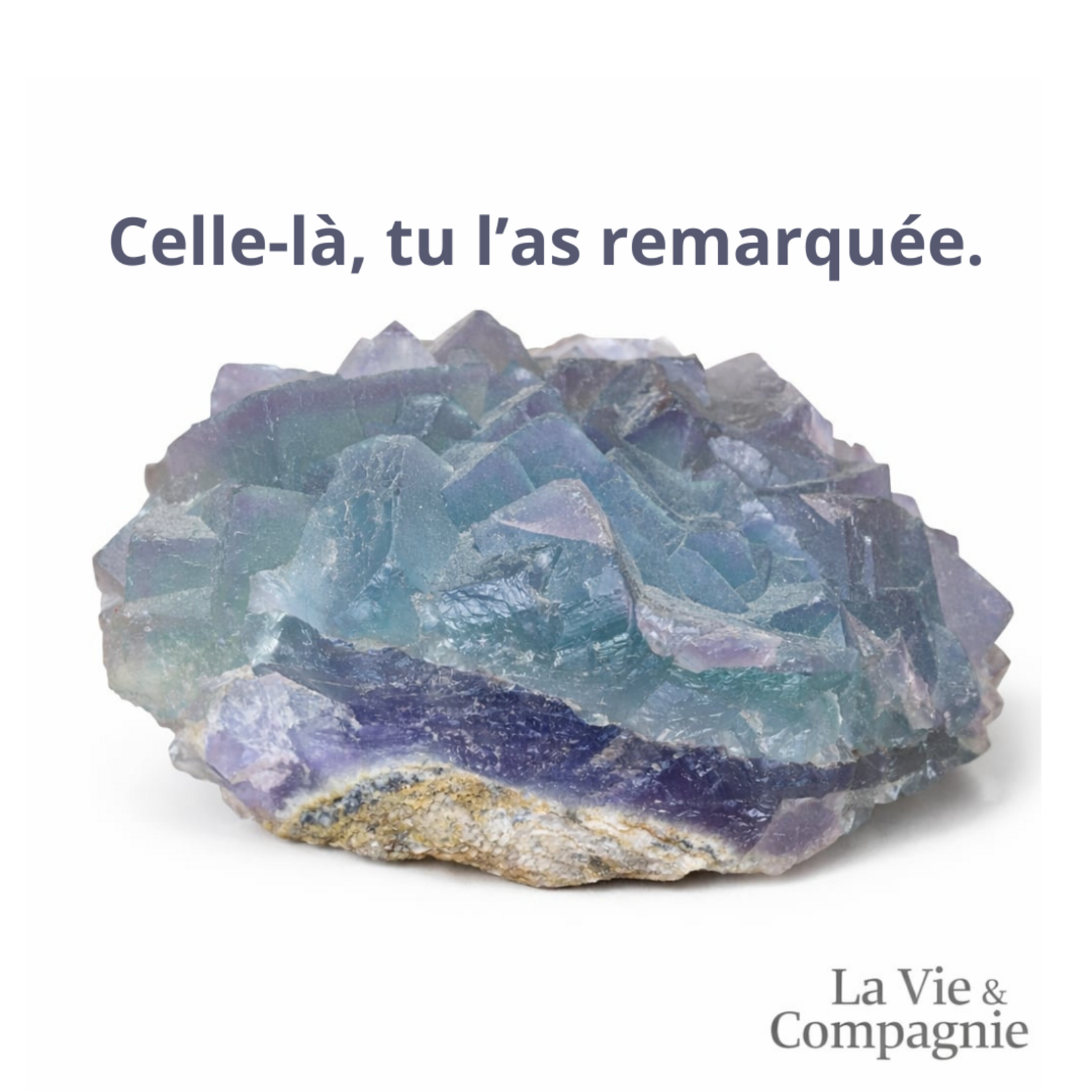 Physical Gift Certificate Ready to Give | La Vie et Compagnie