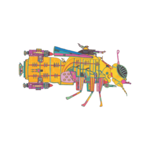 Sucher Cyber Bee Battlecruiser Sticker (2023)