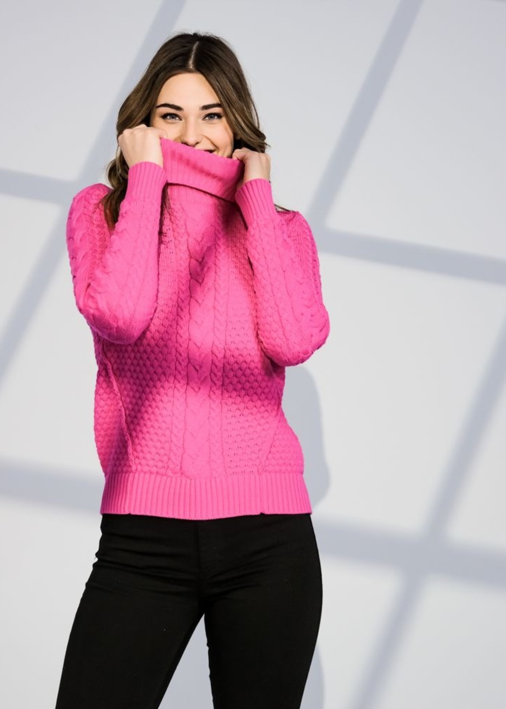 Alison Sheri Cable Knit Turtleneck Sweater