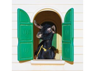 Rock Superchunk - Wild Loneliness LP (green + yellow colored vinyl)