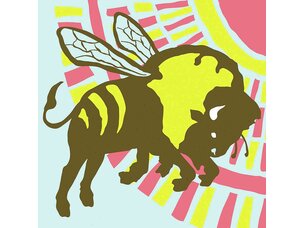 The Format - B-sides and Rarities LP