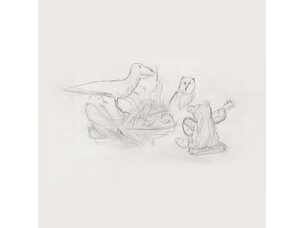 Big Thief - Dragon New Warm Mountain